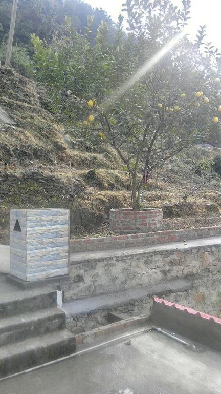 Vardaan Homestay Shimla Esterno foto